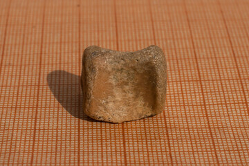 A fossil of a cetacean mammal. A vertebra from the tail of the spine. Petrifaction.