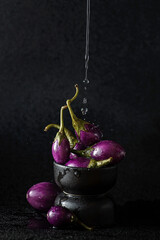 mini eggplant on a black background