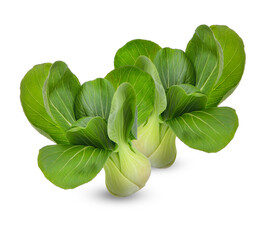 Pak Choi isolated on transparent background (.PNG)