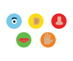 5 senses in our bodies