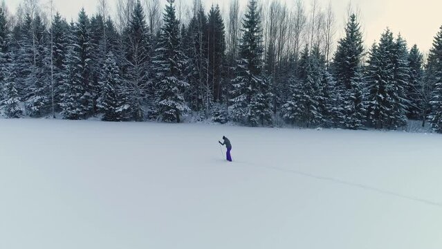 Cross-country skiing along the edge of an evergreen forest in a winter wonderland - side aerial view