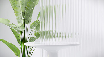 Modern, minimal round white glossy table podium with banana tree and reeded glass partition in...