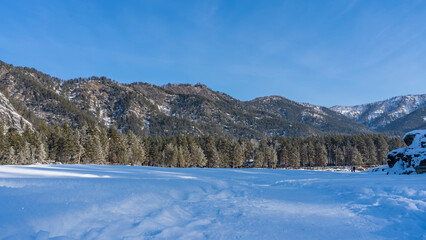 Obraz premium A path trodden in snowdrifts. Pure white snow sparkles in the sun. Silhouettes of walking people are visible in the distance. Taiga and mountain range against the blue sky. Altai