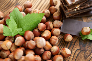 Hazelnuts in shells with slices of chocolate on a wooden background.