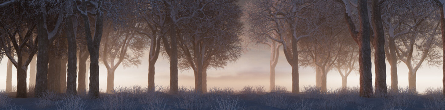 Seasonal Background with Snow covered Trees in a Pale Mist. Beautiful Winter Woodland Banner.