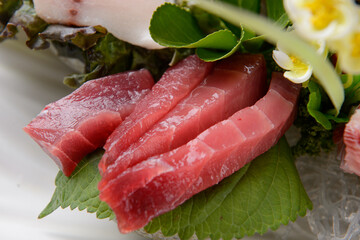 various parts of tuna sashimi