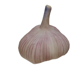 3d rendering realistic garlic vegetable