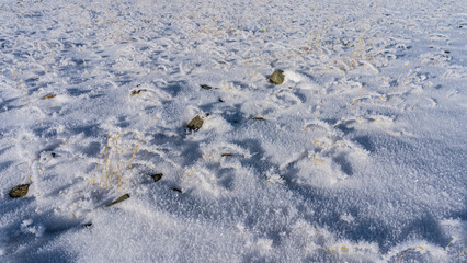 Pure white snow-covered surface. Stones and yellow stalks of dry grass are covered with fluffy frost. Snowflakes sparkle in the sun. Full-screen mode.  Altai