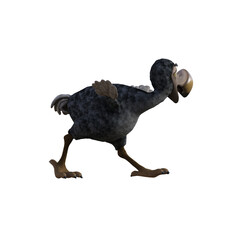 Vulture baby cartoon character on transparent background. PNG file, 3d rendering illustration. © W.S. Coda