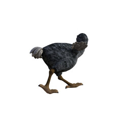 Vulture baby cartoon character on transparent background. PNG file, 3d rendering illustration. © W.S. Coda