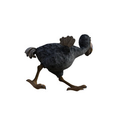 Vulture baby cartoon character on transparent background. PNG file, 3d rendering illustration. © W.S. Coda