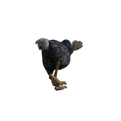 Vulture baby cartoon character on transparent background. PNG file, 3d rendering illustration.