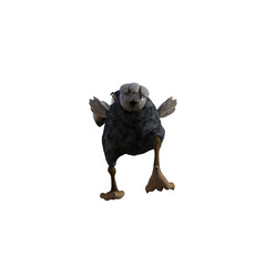 Vulture baby cartoon character on transparent background. PNG file, 3d rendering illustration.