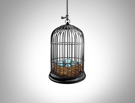 Limited Opportunity Concept and lack of future opportunities as a nest full of eggs imprisoned in a bird cage as a symbol for a restricted plan