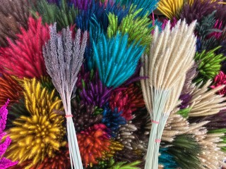 Dried rice flower for home decor, colorful dried flowers for decoration