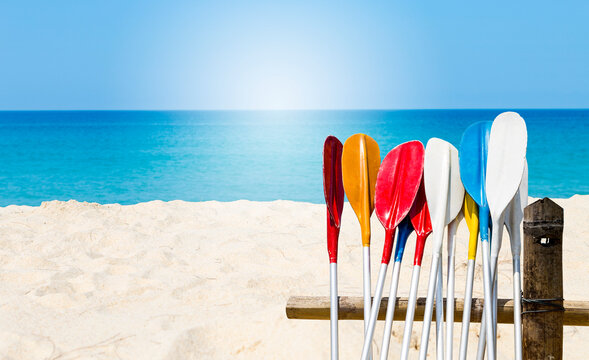 Multi color oars on sandy beach, summer outdoor day light, water sport equipment