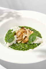 Green risotto with squid and stracciatella cheese on white plate. Creamy risotto with spinach, calamari and creamy cheese. Italian risotto with squid on light background with shadows of leaves