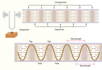 physics. spring stretched. transverse waves. longitudinal. The difference between throwing and periodic wave formation. longitudinal wave generation. periodically generated transverse waves. 