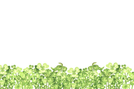 Rectangular text template with clover thickets at the bottom. Place for an inscription. Watercolor illustration. Isolated on a white background. For your design greeting cards, labels, brochures etc