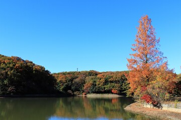 紅葉の湖