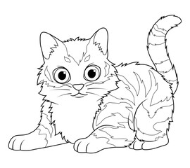 Little Maine Coon Cat Cartoon Animal Illustration BW