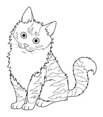 Maine Coon Cat Cartoon Animal Illustration BW