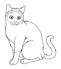 Siamese Cat Cartoon Animal Illustration BW