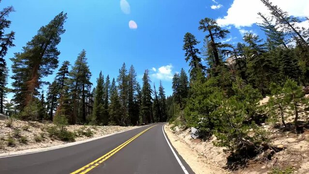 Yosemite 106 California Driving POV Road National Park