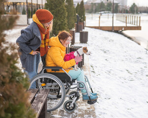 A woman in a wheelchair walks with her friend and a dog by the lake in winter.