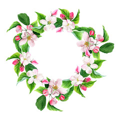 Apple tree blooming floral wreath. Watercolor illustration isolated on white background
