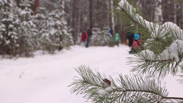Happy children ride downhill together in defocus in winter. Cheerful friends, holidays, winter fun, snow-covered mountain slopes. Video, footage for the background, intro, titles. UHD 4K.