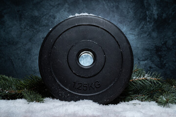 Dumbbell barbell weight plate disc, Christmas tree branches on white snow. Healthy fitness lifestyle holiday season winter composition. Gym workout sport training concept, exercising in cold weather.