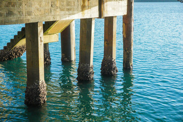 Jetty on Palm Island