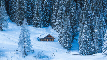 Eine Hütte in den Alpen - romantisch verschneite Berglandschaft- Winter in Österreich