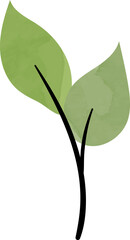 Green watercolor leaf branch illustration