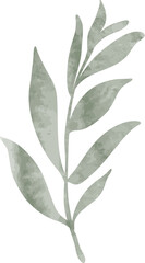 Watercolor leaf branch illustration