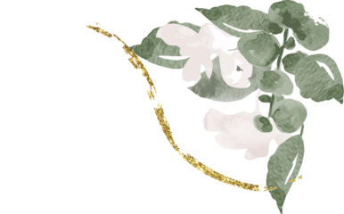 Watercolor leaf branch with gold illustration
