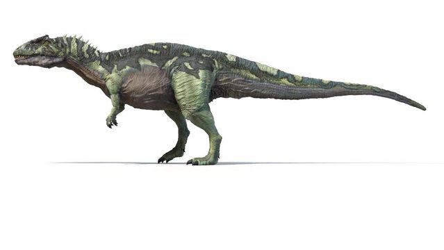 3D Rendered Animation of a walking Acrocanthosaurus