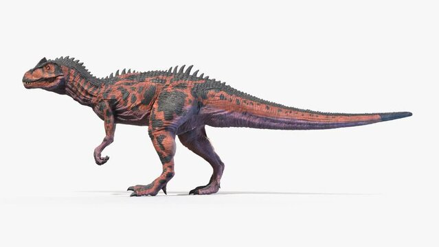 3D Rendered Animation of a walking Allosaurus