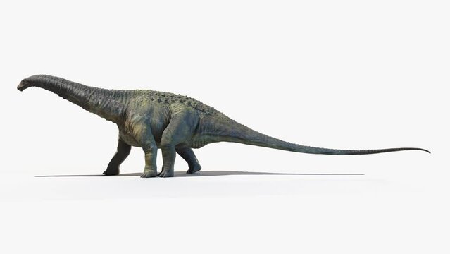 3D Rendered Animation of a walking Apatosaurus