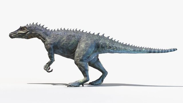 3D Rendered Animation of a walking Baryonyx