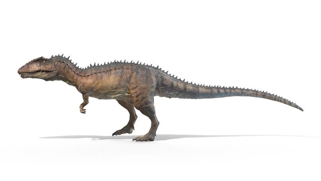3D Rendered Animation of a walking Carcharodontosaurus