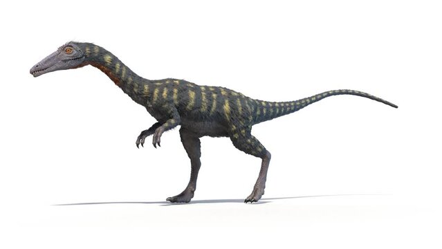 3D Rendered Animation of a walking Coelophysis