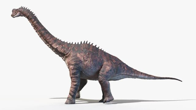 3D Rendered Animation of a Europasaurus walking