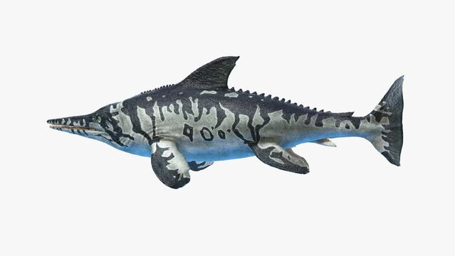3D Rendered Animation of a Ichtyosaurus swimming