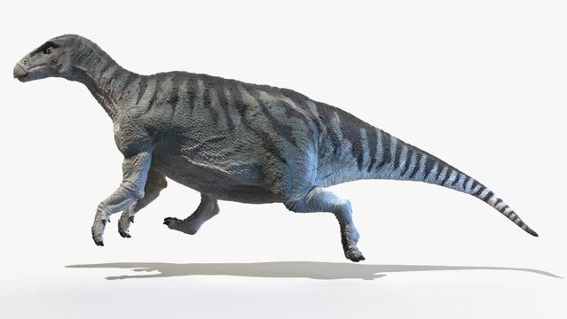 3D Rendered Animation of a Iguanodon walking