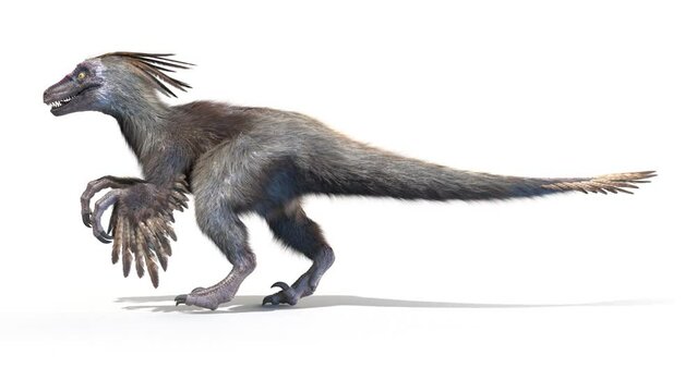 3D Rendered Animation of A Velociraptor walking.
