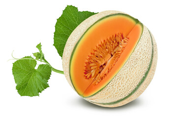 Cantaloupe melon isolated on white background with full depth of field,