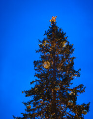 Evening view of a street Christmas tree with lights