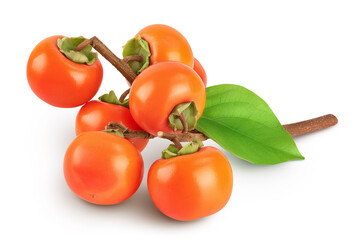 Persimmon fruit on the branch isolated on white background with full depth of field